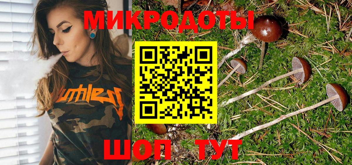 Псилоцибиновые грибы MAGIC MUSHROOMS  Псилоцибиновые грибы GOLDEN TEACHER  Миасс  Вход с VPN 